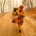 38 califronia wildfires 1110