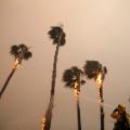 41 california wildfires 1110