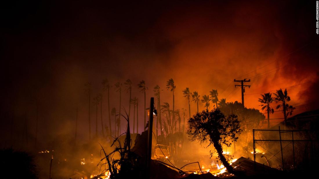 A row of palm trees stands as the Woolsey Fire continues to burn in Malibu on November 9.