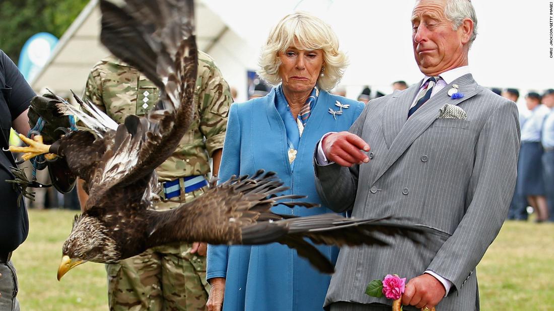 Charles and Camilla react as Zephyr, the  bald-eagle mascot of the Army Air Corps, flaps his wings at the Sandringham Flower Show in July 2015.