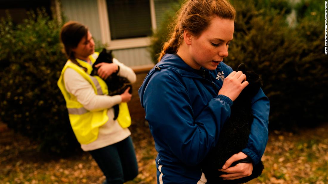 Samantha Esau and Emily Garcia take in stray cats from an evacuated Paradise home on November 12.