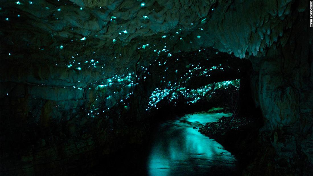 waitomo caves tour