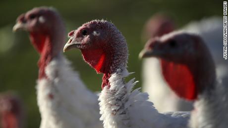 Before you cook, watch out for recalled foods this Thanksgiving