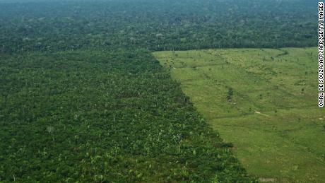Global climate targets will be missed as deforestation rises, study says