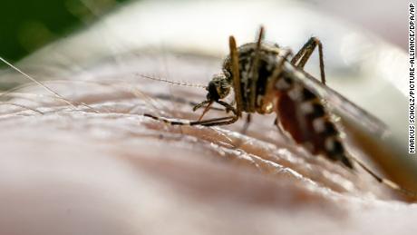 Malaria on the rise in more than 13 countries, experts warn 