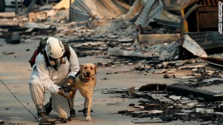 A search and rescue worker tends to his dog while looking for human remains in the Camp Fire. 