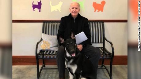 joe biden adopts rescue dog named major orig ec_00000923