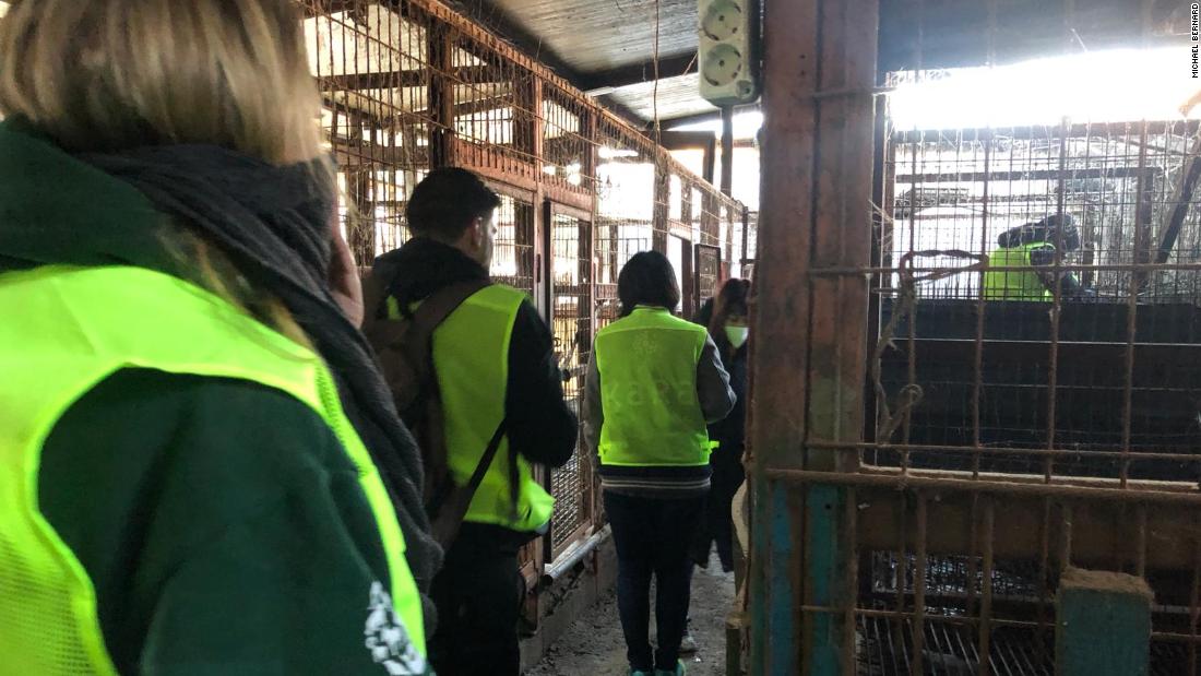 South Korea closes largest dog meat slaughterhouse 
