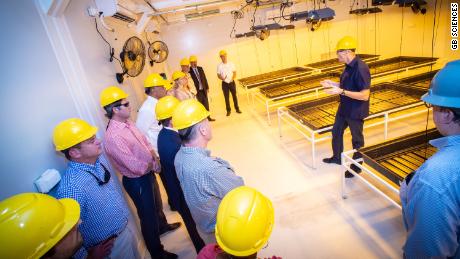 A tour takes place in one of GB Science's Baton Rouge grow rooms. 