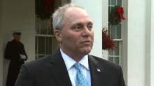 Rep. Steve Scalise speaking outside the White House on 11/27.