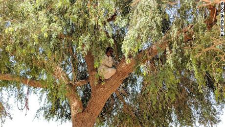 In unconnected villages, people like Sawal Singh need to climb a tree to get a signal.