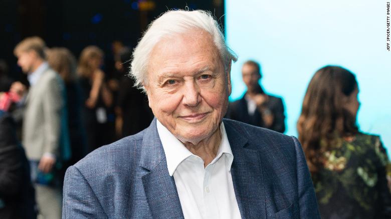 LONDON, ENGLAND - SEPTEMBER 27: Sir David Attenborough attends the World Premiere of &quot;Blue Planet II&quot; on September 27, 2017 in London, United Kingdom. (Photo by Jeff Spicer/Getty Images)