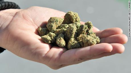 A woman holds a handful of marijuana flower buds, in Vancouver, Canada, on October, 17, 2018. - Nearly a century of marijuana prohibition came to an end Wednesday as Canada became the first major Western nation to legalize and regulate its sale and recreational use. Scores of customers braved the cold for hours outside Tweed, a pot boutique in St John&#39;s, Newfoundland that opened briefly at midnight, to buy their first grams of legal cannabis.In total, Statistics Canada says 5.4 million Canadians will buy cannabis from legal dispensaries in 2018 -- about 15 percent of the population. Around 4.9 million already smoke.