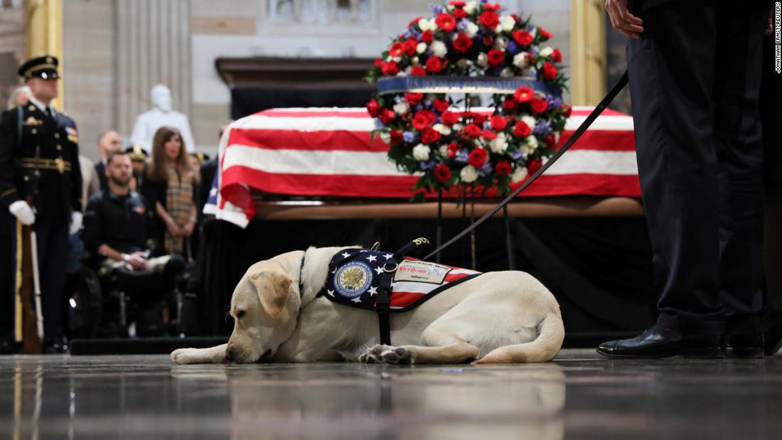 Sully, Bush&#39;s service dog, rests near Bush&#39;s casket on December 4.