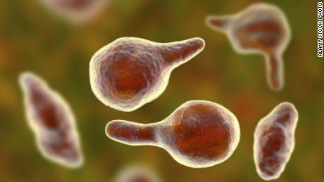 Superbugs 'as big a global threat as climate change and warfare'