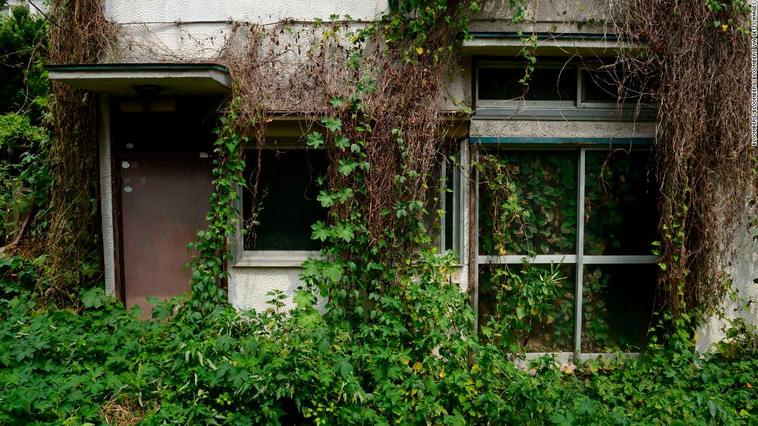 Overgrown vegetation surrounds a vacant house in the Yato area of Yokosuka City, Kanagawa Prefecture. Empty homes are an issue across the country. 