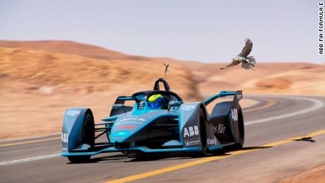 Formula E car vs. the fastest animal