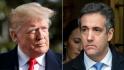 Cohen: Trump knew hush payments were wrong (2018)