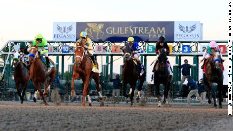 The Pegasus World Cup will include a turf-race in 2019. 