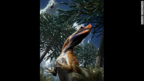 One-ton Italian dinosaur's 'hands' offer clues to evolution of modern bird wings