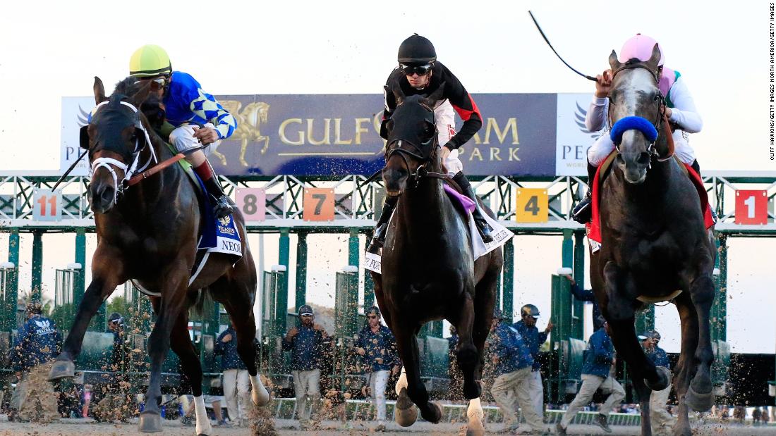 The Pegasus World Cup was the richest horse race in 2018, with an improved prize fund  of $16 million. The event was re-imagined for 2019 with a reduced pot of $9M for the dirt race and $7M for a separate turf race.