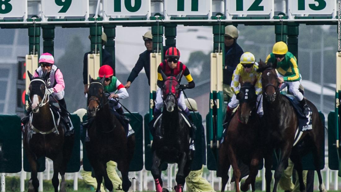 japan world cup 3 horse