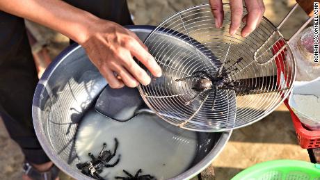 Cooked insects are sold in parts of Asia as Instagram-worthy souvenirs. 