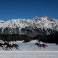 White Turf St Moritz