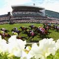 Flemington Racecourse