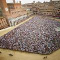 Piazza del Campo horse race