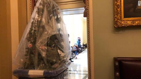 A Christmas tree in a cart is physically removed from Cornyn's office. 