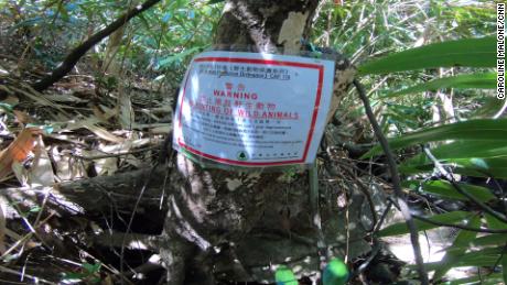 A sign warning against illegal hunting seen in a Hong Kong country park.