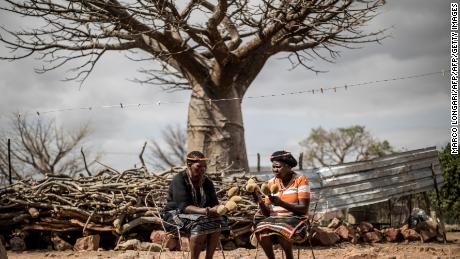 Baobab fruits harvesters hold baobab fruits they harvested in the village of Muswodi Dipeni in the Limpopo Province, South Africa, in August, 2018. 