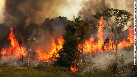 A fire burns trees next to grazing land in the Amazon basin on November 22,  in Ze Doca, Brazil, 2014. Fires are often set to clear forest for grazing land.