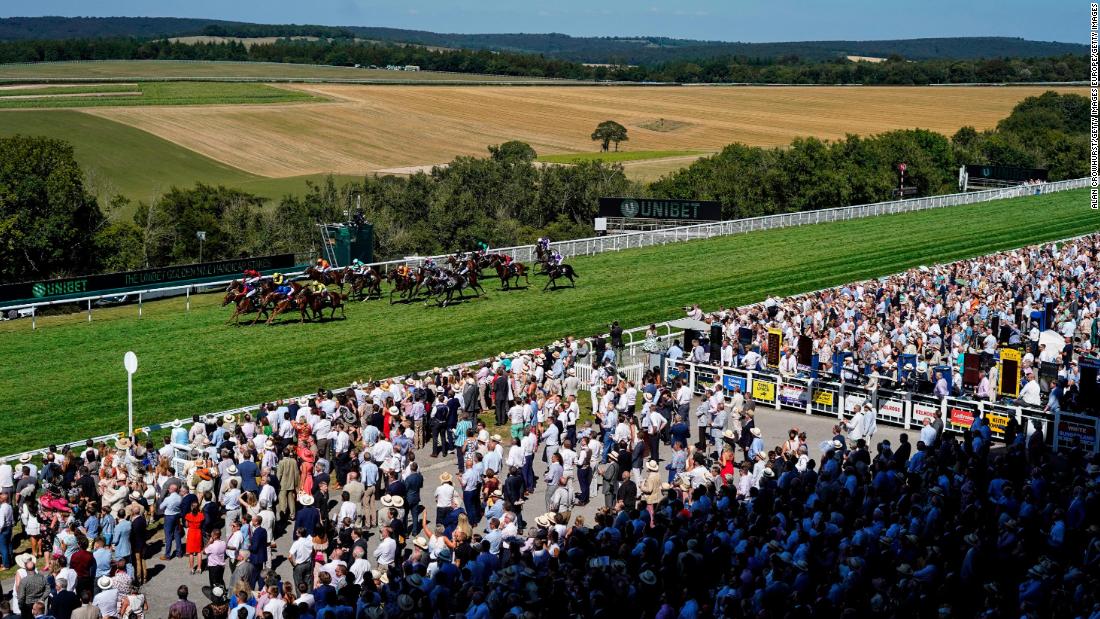 The rolling Sussex countryside unfolds in front of one of the most iconic venues in flat racing. Goodwood has hosted racing since 1802 and offers the perfect setting for the famous Glorious Goodwood meeting. 