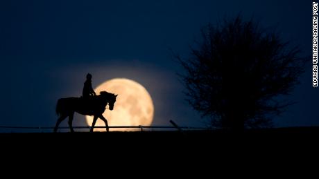 Stunning shots from horse racing&#39;s photographer of the year 