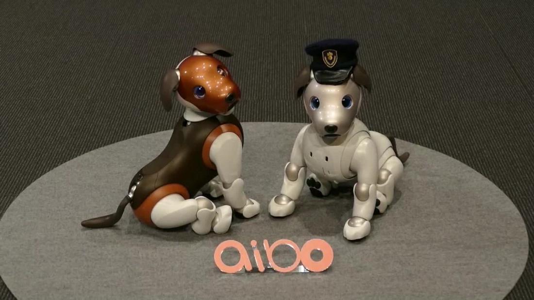 cane robot aibo