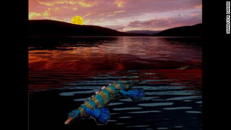 Newly discovered fossil reveals prehistoric platypus with unusually small eyes