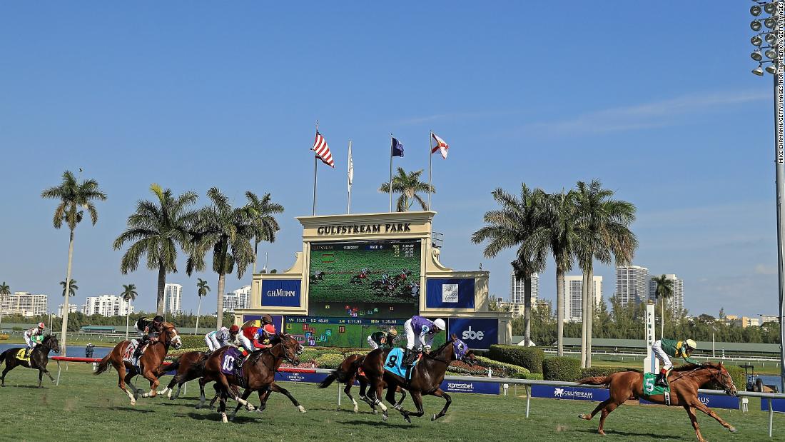 The 2019 edition will include a new turf-race, which hopes to attract a more international field. The $16 million purse will not be split between the two Grade 1 races. 