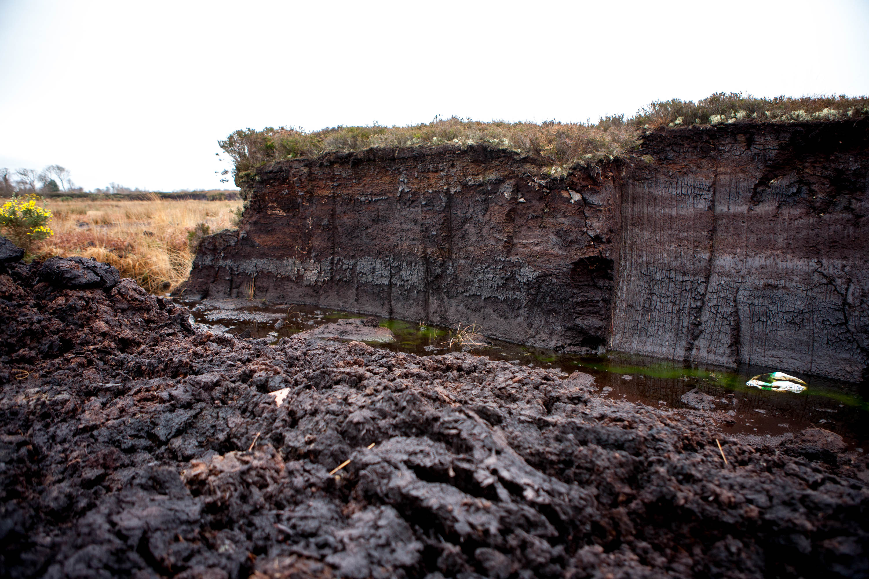 A non-commercial turf cutting site in County Roscommon