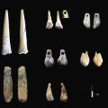 06 ancient finds_bone points