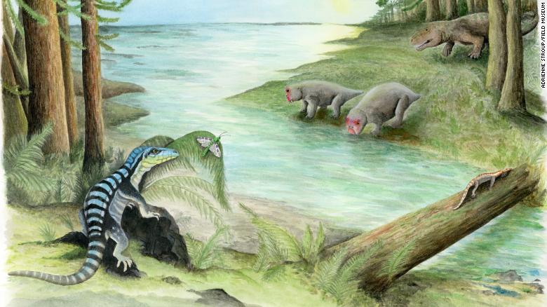 This is an artist&#39;s illustration of Antarctica, 250 million years ago. The newly discovered fossil of a dinosaur relative, Antarctanax shackletoni, revealed that reptiles lived among the diverse wildlife in Antarctica after the mass extinction.