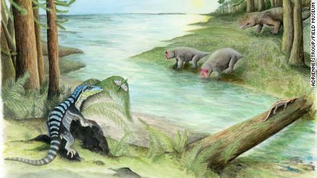 Meet the 'Antarctic king,' an unlikely fossil from 250 million years ago