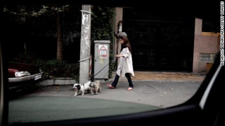 An Iranian woman walks her dogs in Tehran&#39;s wealthy Elahiyeh district in 2013.  