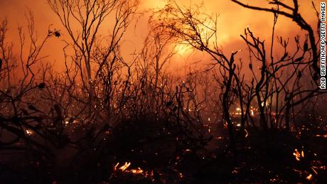 Australia is sweltering through record-breaking heat. And the worst is yet to come