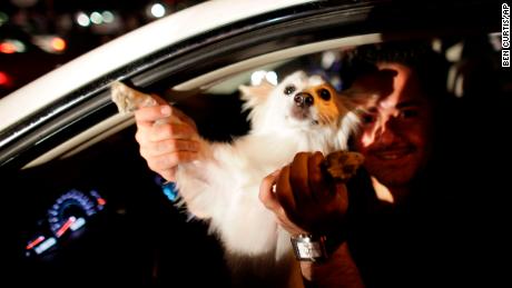 A driver in Tehran dances with his dog at a 2009 political rally. Despite religious stigma around dogs, Iran&#39;s middle class have embraced them as pets for years.