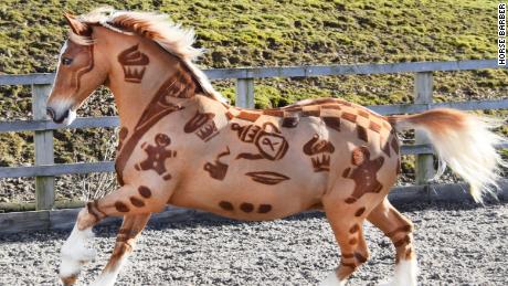 Meet the &#39;Horse Barber&#39; creating spectacular equine designs. 