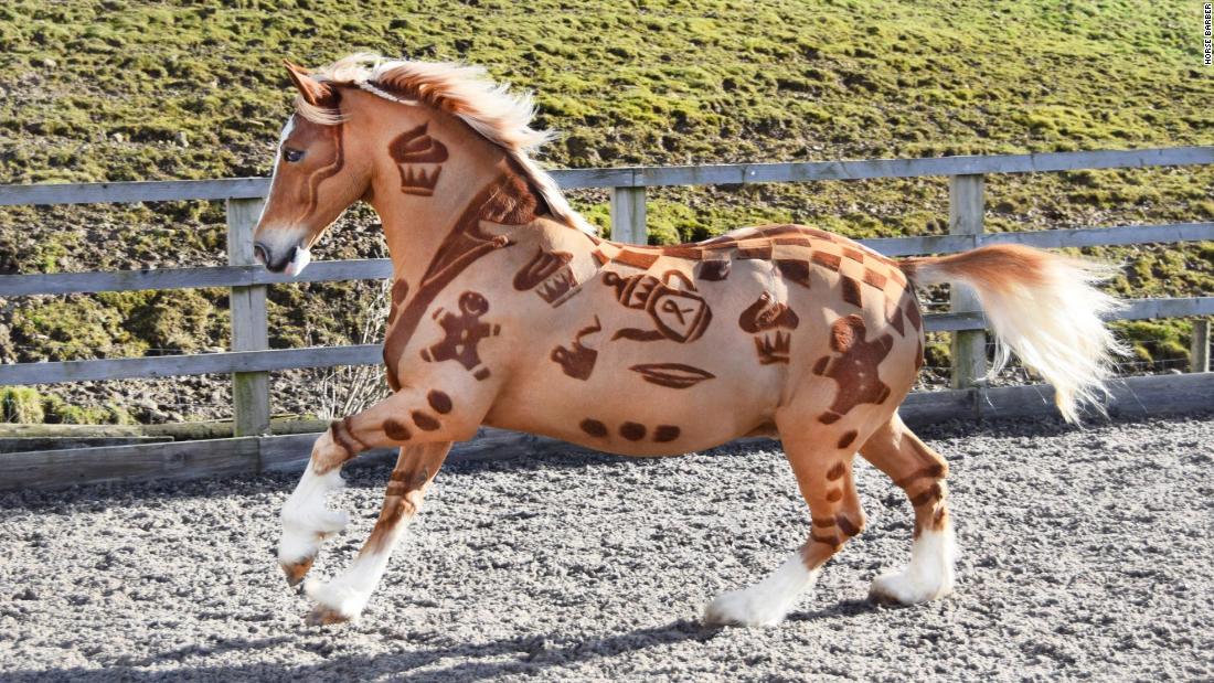 design a friend horse stable