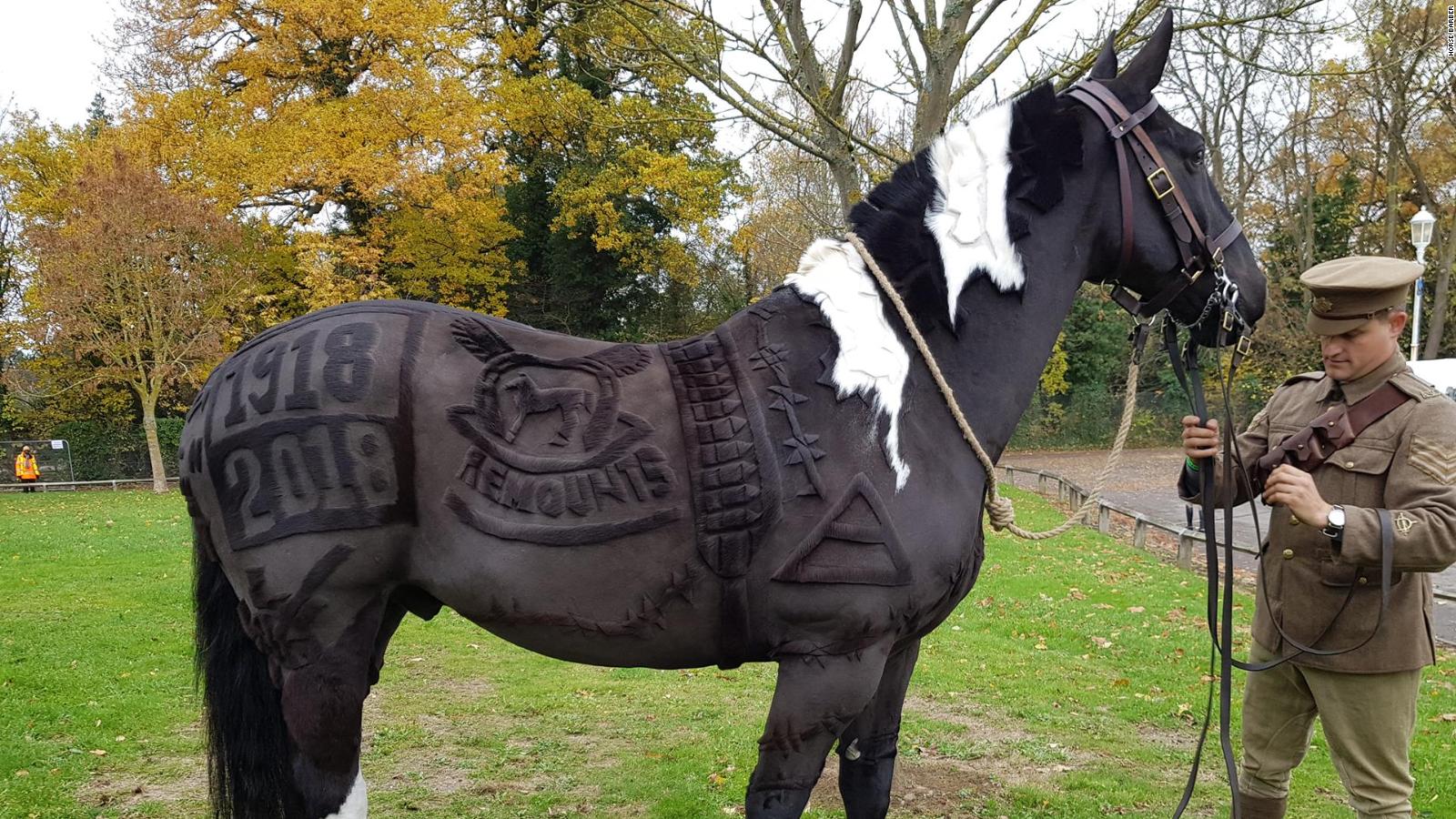Meet the 'Horse Barber' creating spectacular designs CNN