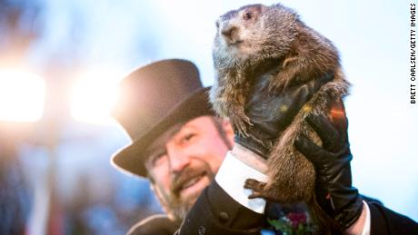 PETA is calling on the Punxsutawney Groundhog Club to let Phil retire -- and to be replaced by an animatronic groundhog. 